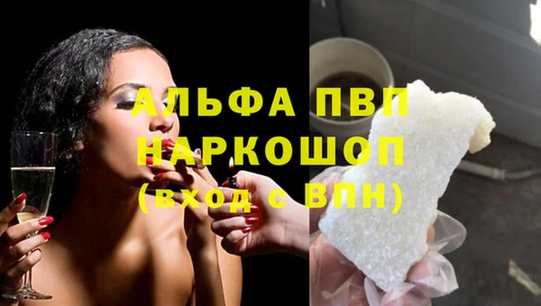 гашик Абаза