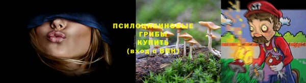 a pvp Алексин