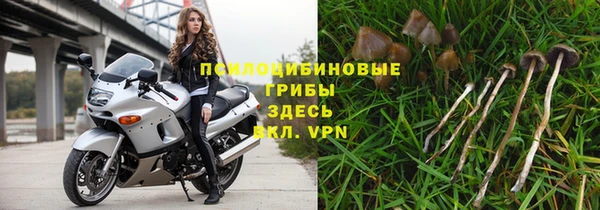 гашик Абаза