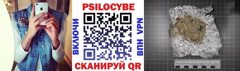 Псилоцибиновые грибы Psilocybe Ахтырский